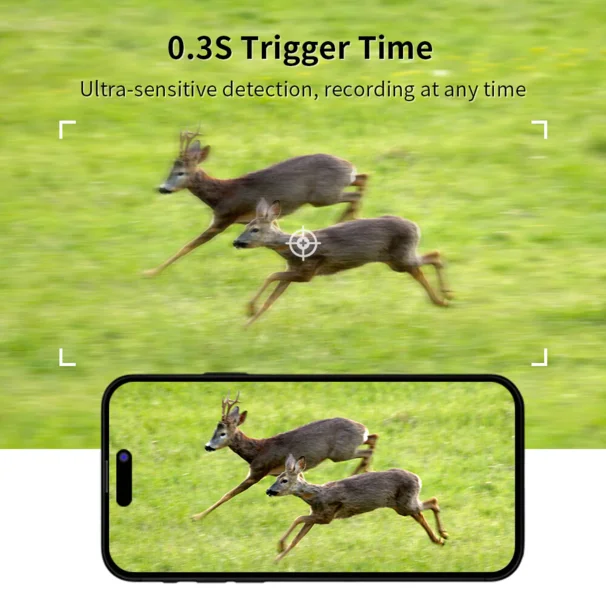 Live Kamera 4g 2.0 inkl solcelle og batteri pakke - 2026 model