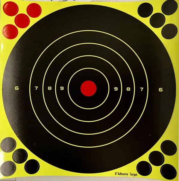 Skydeskive  medium str.