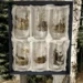 Øl glas med Vildt motiv (6 glas)