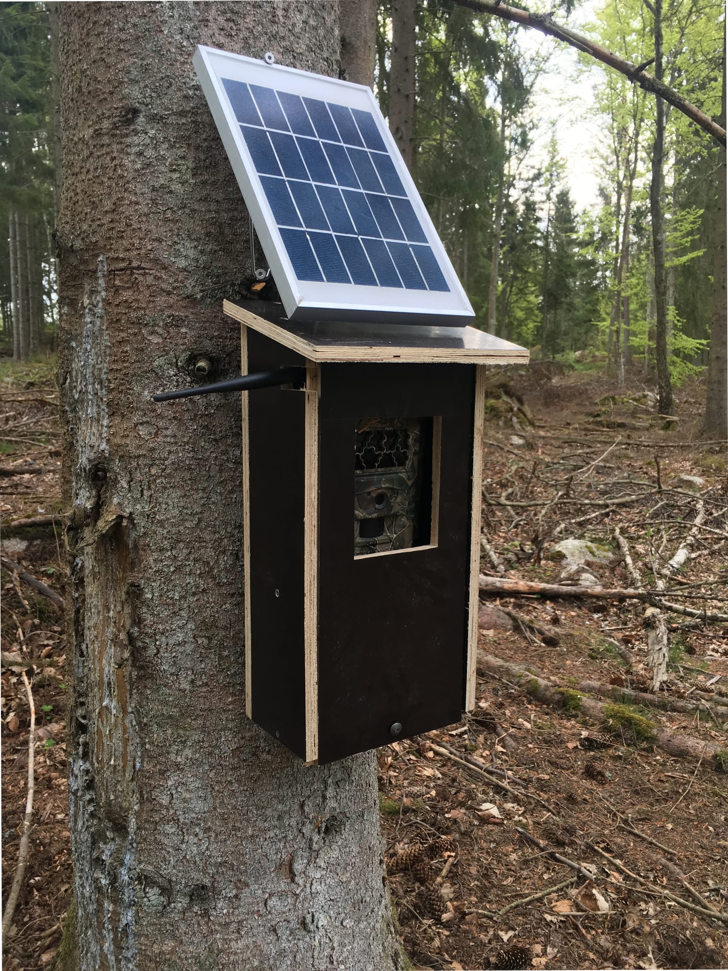 Vildtkamera hus i træ