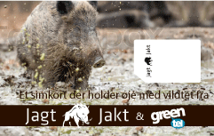 Vildtkamera abonnement - 1 år forudbetalt