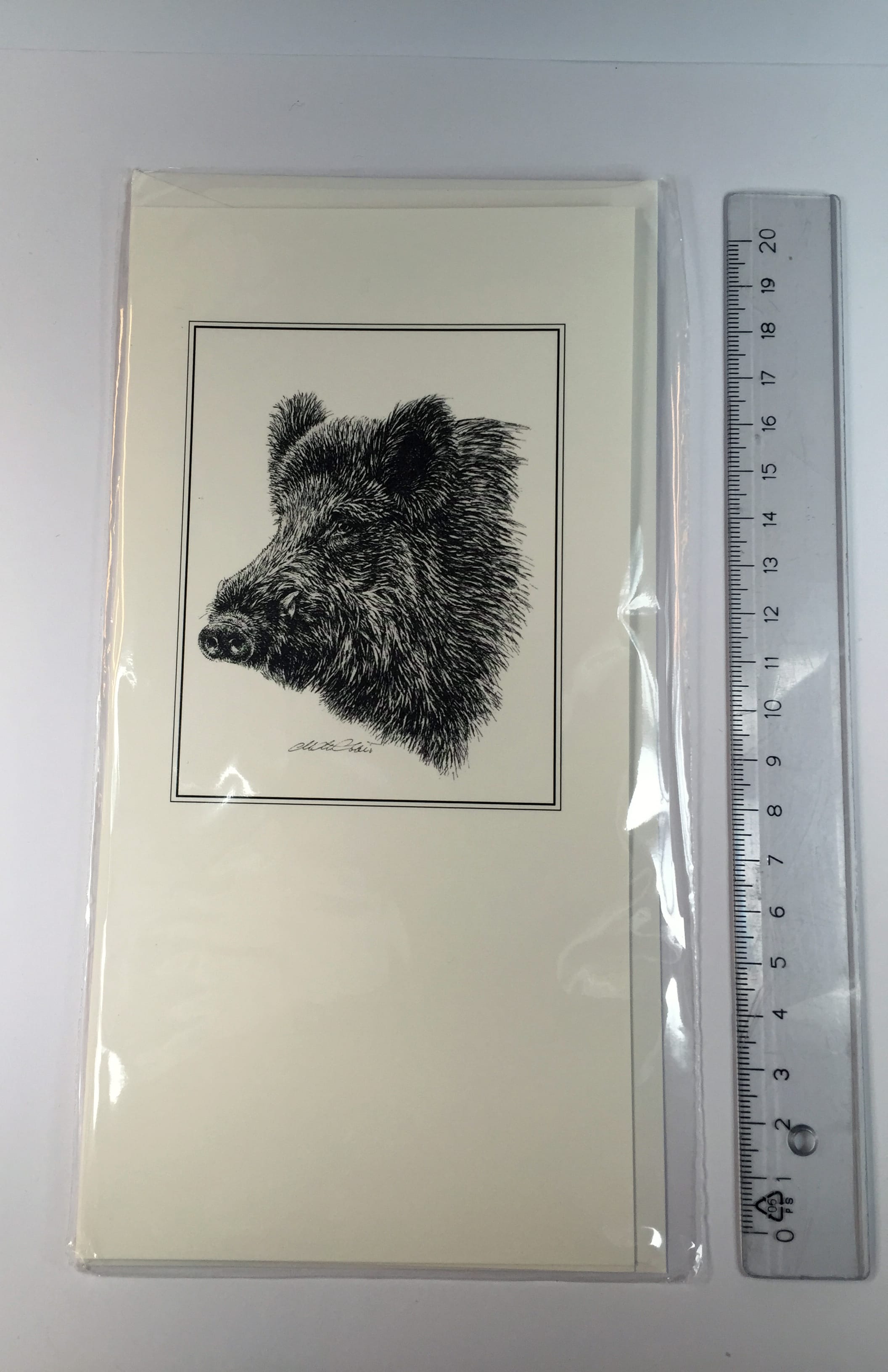 Til/fra kort med vildsvin